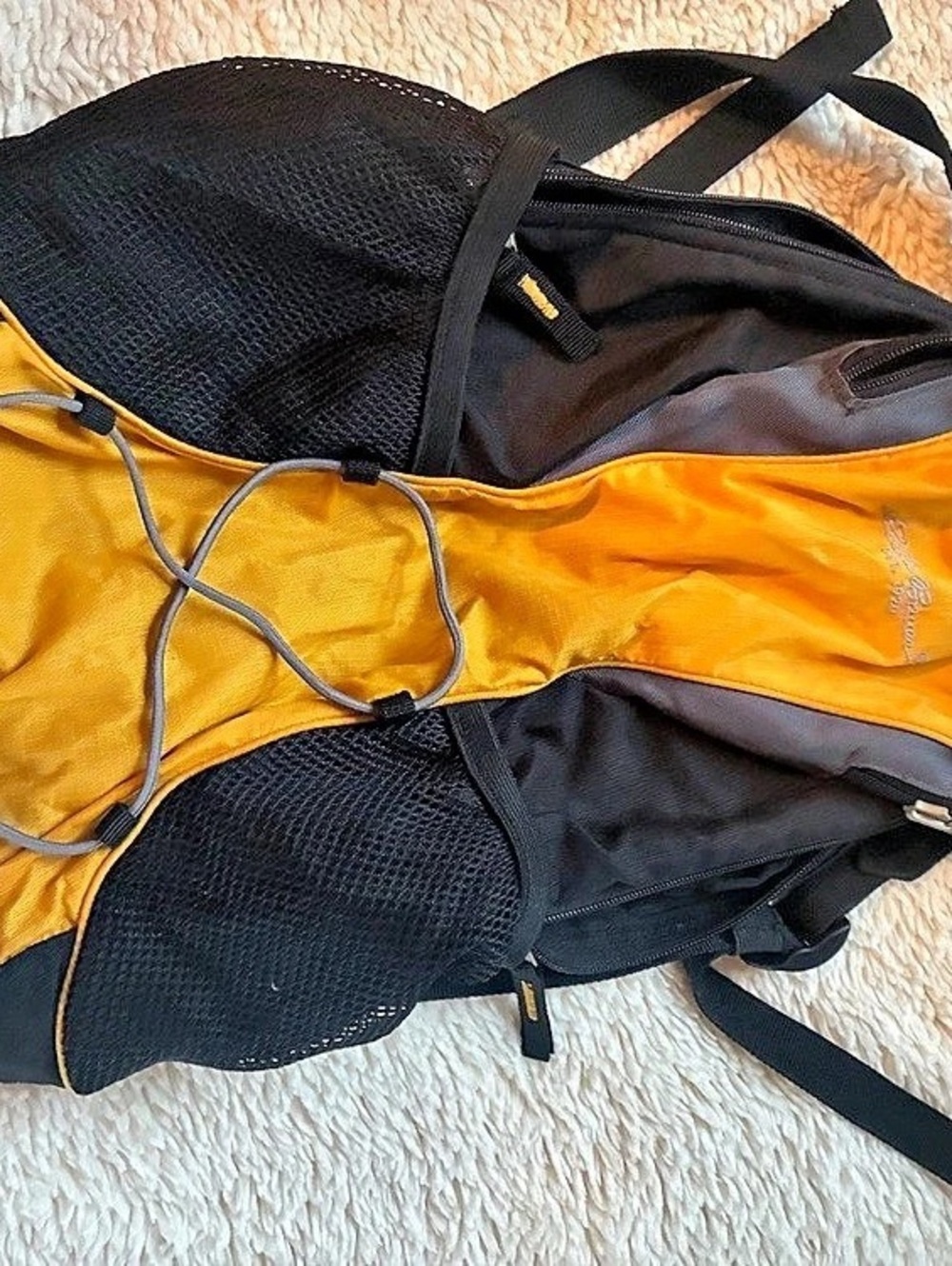 Eddie Bauer Color Block Backpack in Black & Yellow